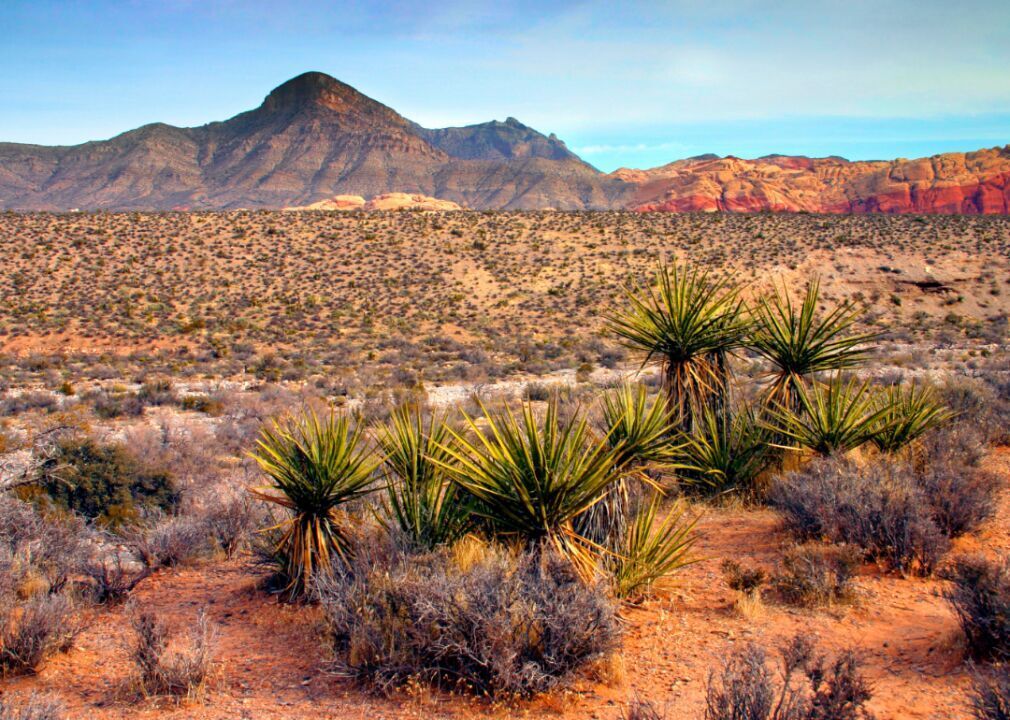 Nevada